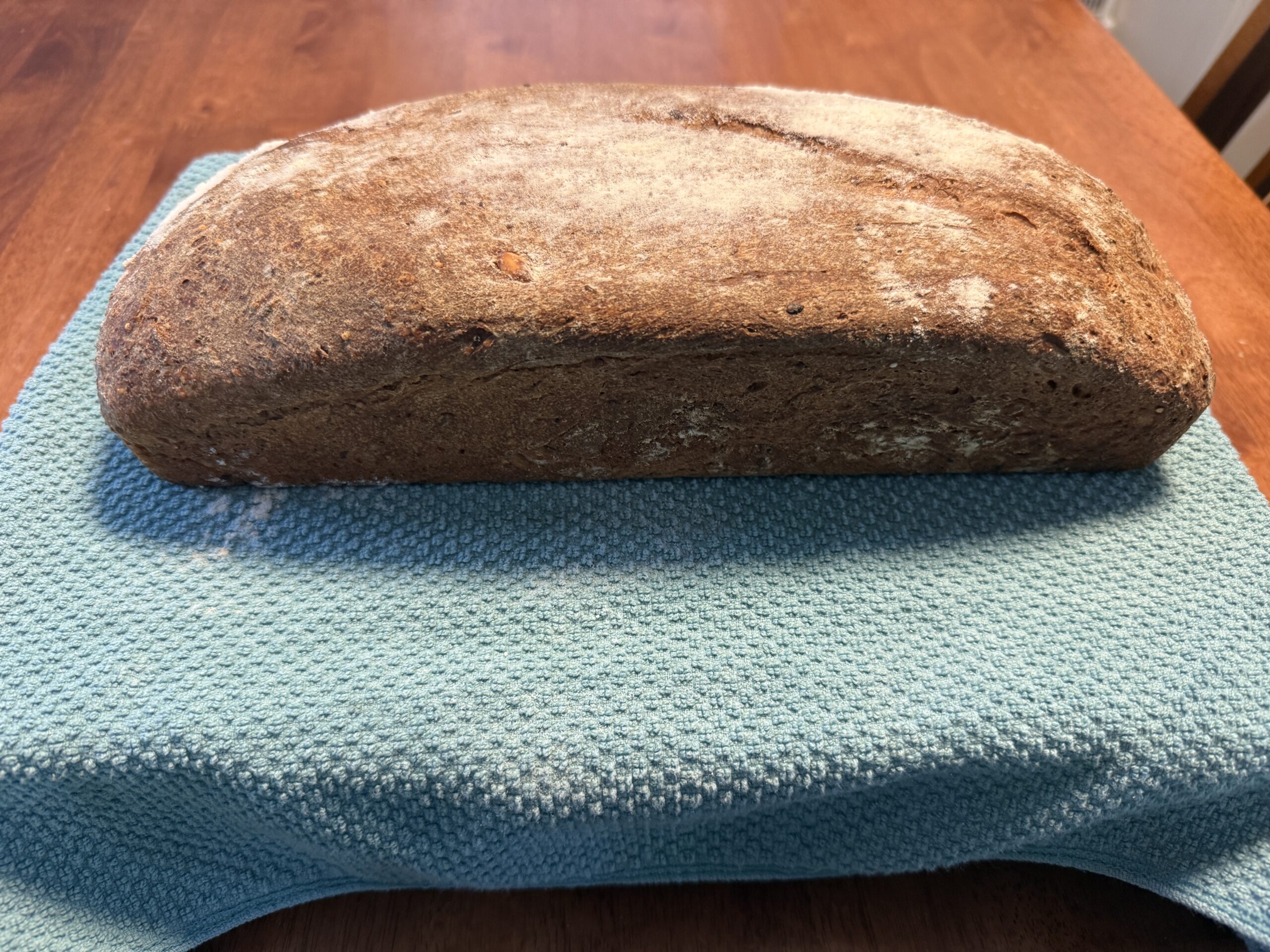 Side view of seeded sourdough sandwich bread loaf