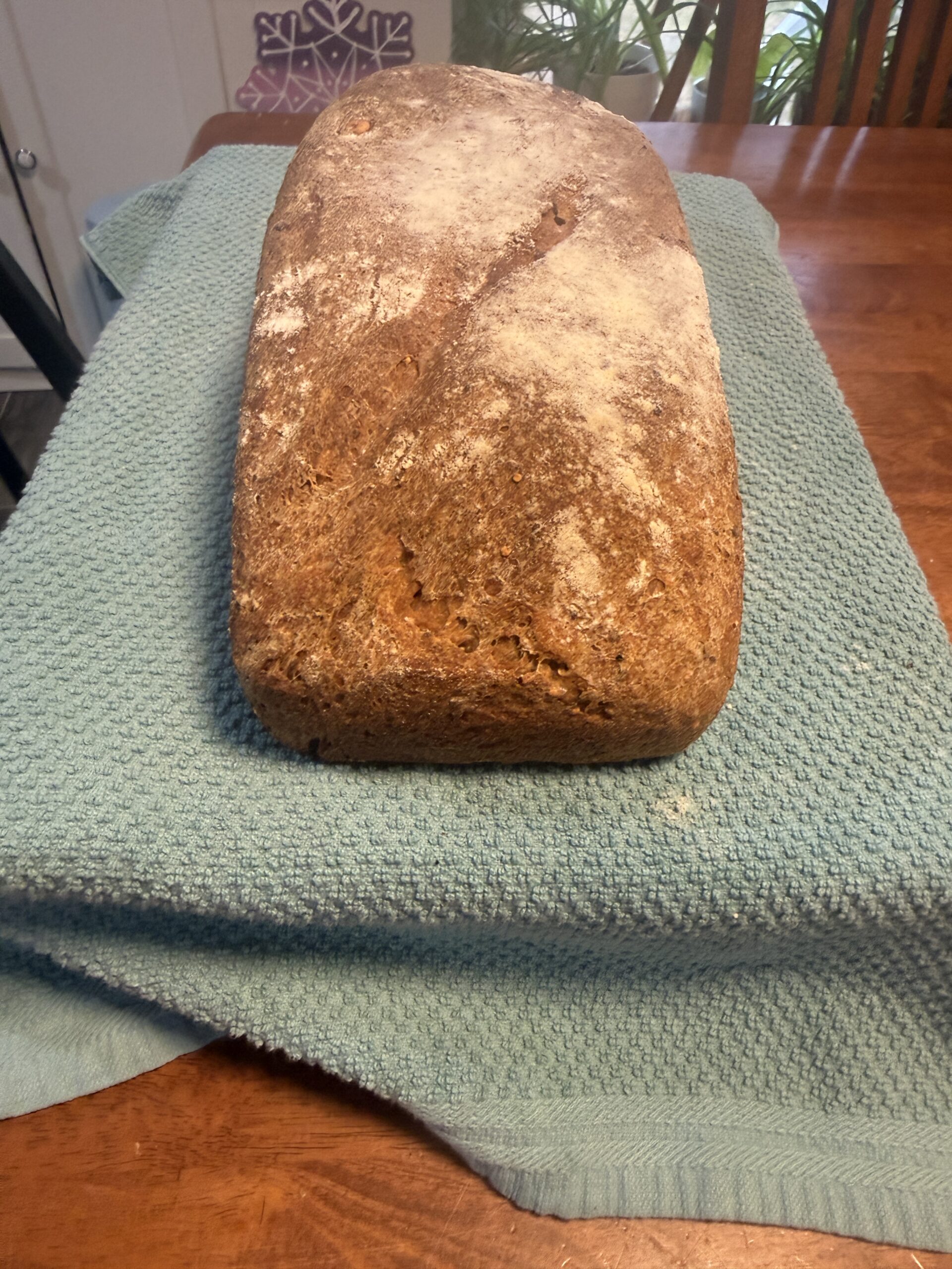 Large sourdough sandwich loaf baked in a 5x13 pan